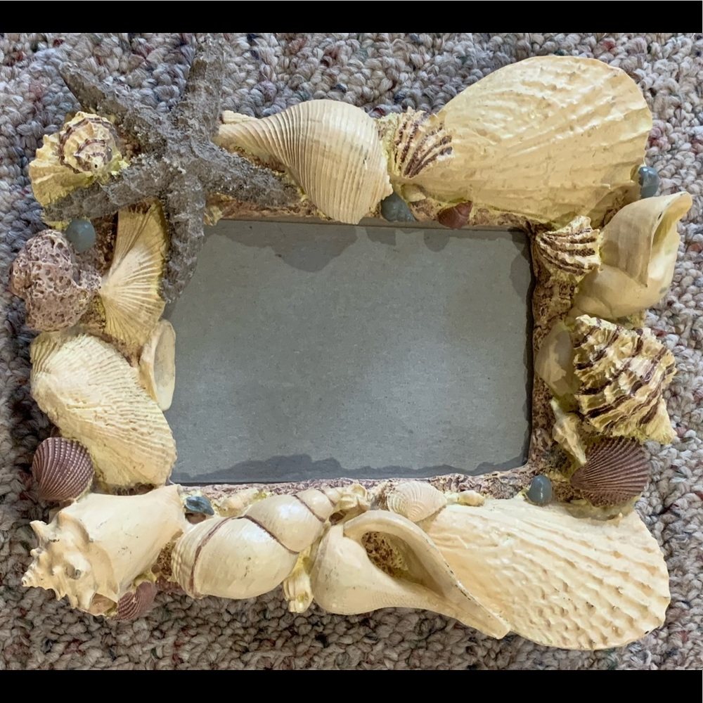 🐚Seashells Picture Frame